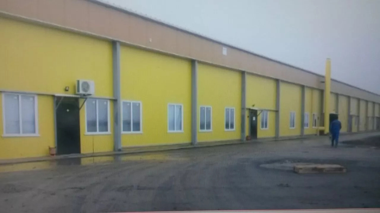 На новой птицефабрике ТОО «Агропродукт ЛТД» в ЗКО уже вывели 200 тыс. цыплят