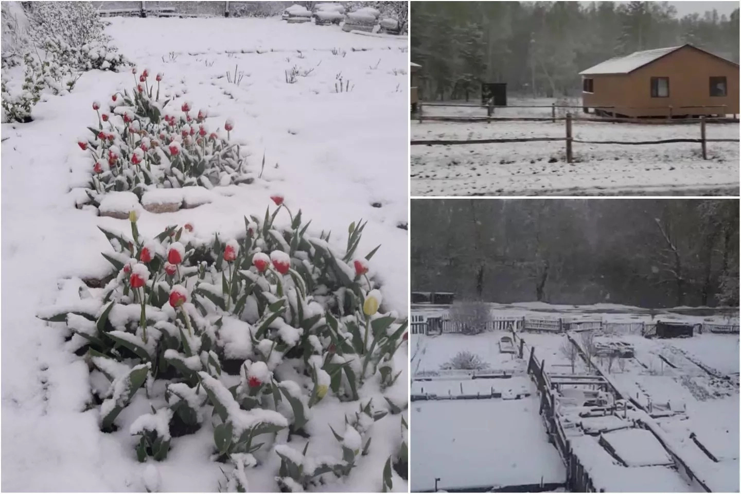 Жазға бес күн қалғанда Бурабайды қар басып қалды (фото)