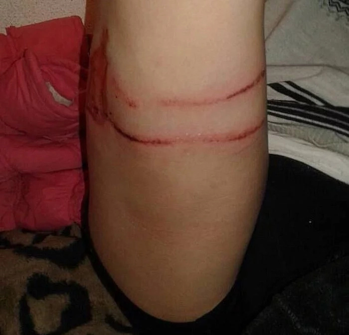 Ыстықкөлде күйеуін қорғамақ болған әйел аш қасқырды пышақтап тастады (фото)