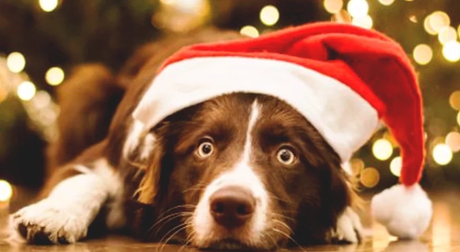 Танымал нумеролог 2018 жылы көптеген қақтығыстар күтіп тұрғанын айтты