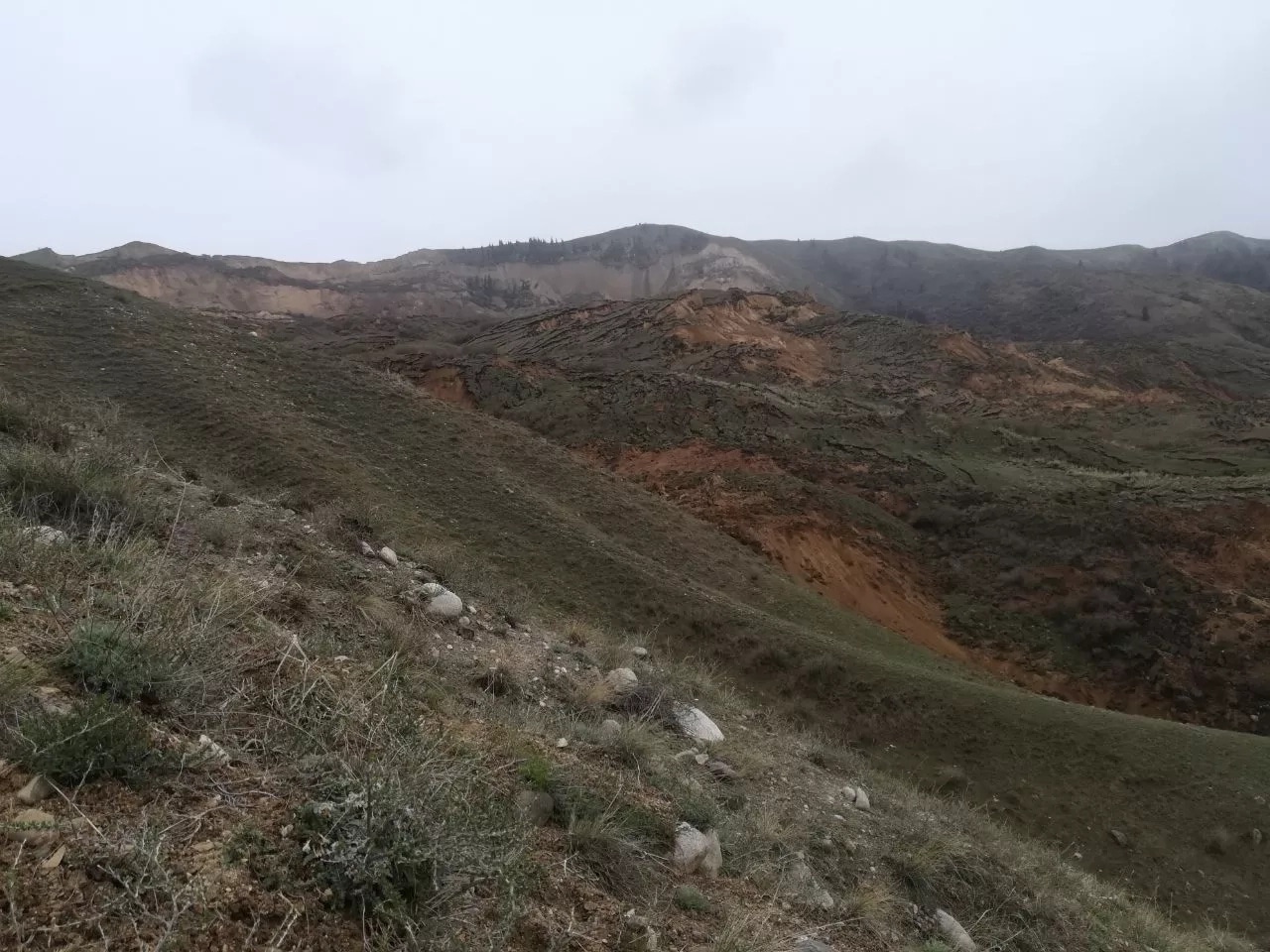 Алматы облысында тау массасы құлады. Фото: ТЖК баспасөз қызметі