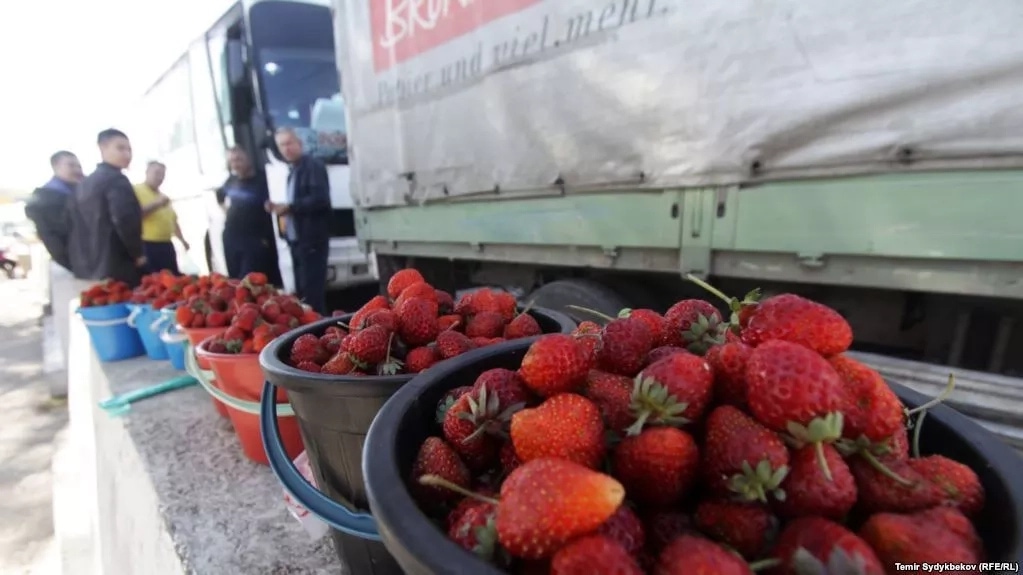 Қазақстан бір апта ішінде Қырғызстанның 100 тонна өнімін кері қайтарды